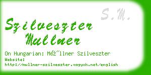 szilveszter mullner business card